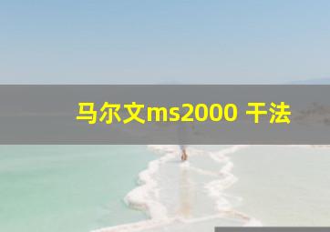 马尔文ms2000 干法